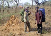 <p> A termite's nest. Note Lucien's backpack made of liana and palm leaves.</p>